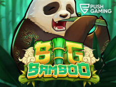 New mi online casino94